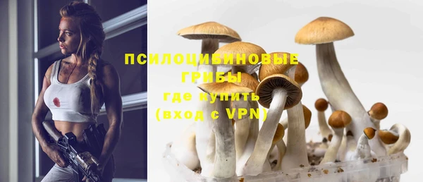 эйфоретик Россошь