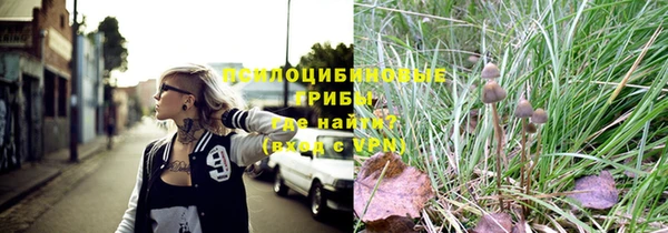 ГАЛЛЮЦИНОГЕННЫЕ ГРИБЫ Пролетарск